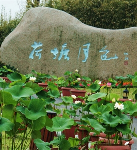 青龙山玻璃栈道+荷塘月色一日游