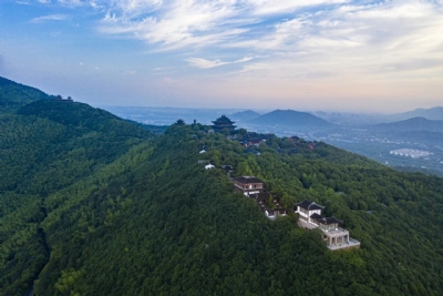 穹木古韵——穿越吴中山水间