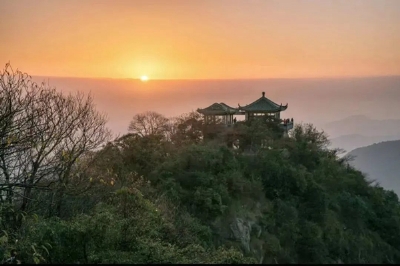 徒步莫干山，穿行竹海幽径，寻迹民国往事
